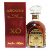 Ascott XO