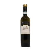 Custoza 2016