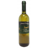 Pinot Bianco colli euganei